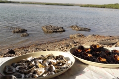 Dégustation d'huitres et d'oursins à la lagune de la Somone