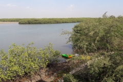 La lagune de la Somone